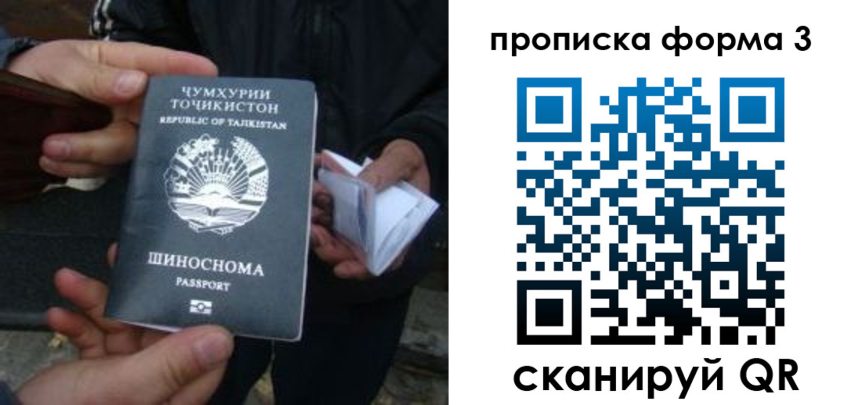 прописка 2025 в Борисоглебске